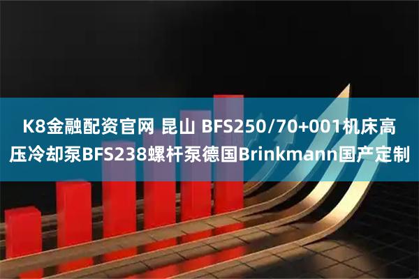 K8金融配资官网 昆山 BFS250/70+001机床高压冷却泵BFS238螺杆泵德国Brinkmann国产定制