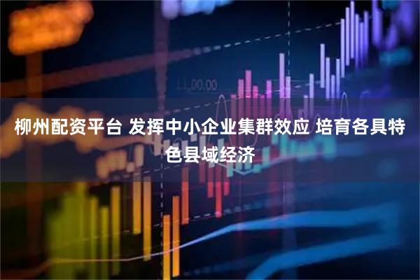 柳州配资平台 发挥中小企业集群效应 培育各具特色县域经济